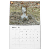 Best eekhoornfoto's kalender (Feb 2027)