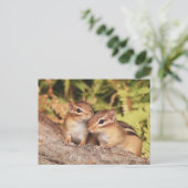 Best Friends Baby Chipmunks Briefkaart (Staand voorkant)