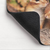 Best Friends Baby Chipmunks Muismat (Hoek)