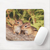 Best Friends Baby Chipmunks Muismat (Met muis)