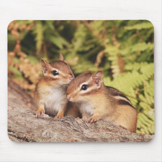 Best Friends Baby Chipmunks Muismat (Voorkant)