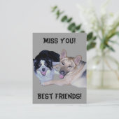 Best Friends Border Collie & German Shepherd Briefkaart (Staand voorkant)