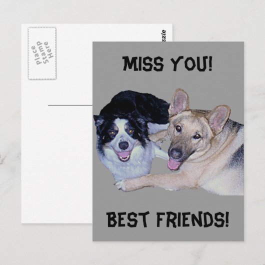 Best Friends Border Collie & German Shepherd Briefkaart (Voorkant / Achterkant)