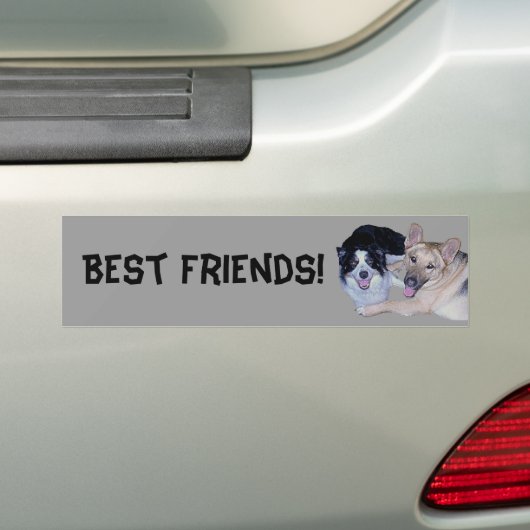 Best Friends Border Collie & German Shepherd Bumpersticker (Op auto)