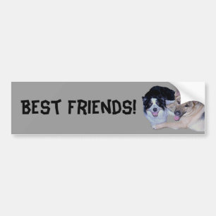 Best Friends Border Collie & German Shepherd Bumpersticker