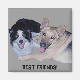 Best Friends Border Collie & German Shepherd Magneet