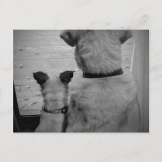 Best Friends Briefkaart