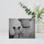 Best Friends Briefkaart (Staand voorkant)