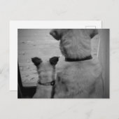 Best Friends Briefkaart (Voorkant / Achterkant)