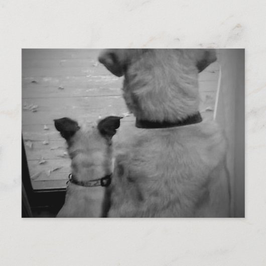 Best Friends Briefkaart (Voorkant)