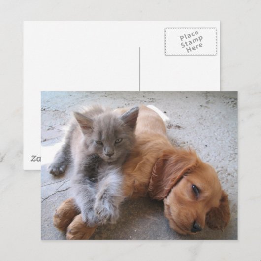 Best Friends Briefkaart (Voorkant / Achterkant)