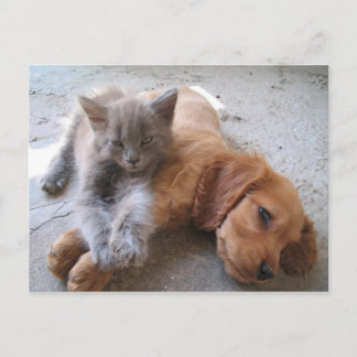 Best Friends Briefkaart