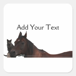 Best Friends Cat and Horse Cuddle Up Vierkante Sticker