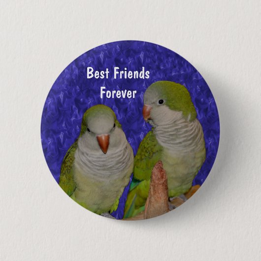 Best Friends Cute Birds Friendship Button (Voorkant)