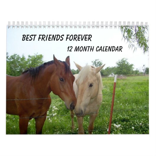 Best Friends Forever - 12 maanden kalender (Hoes)