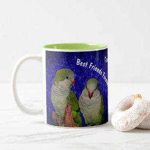 Best Friends Forever Cute Bird Personated Tweekleurige Koffiemok