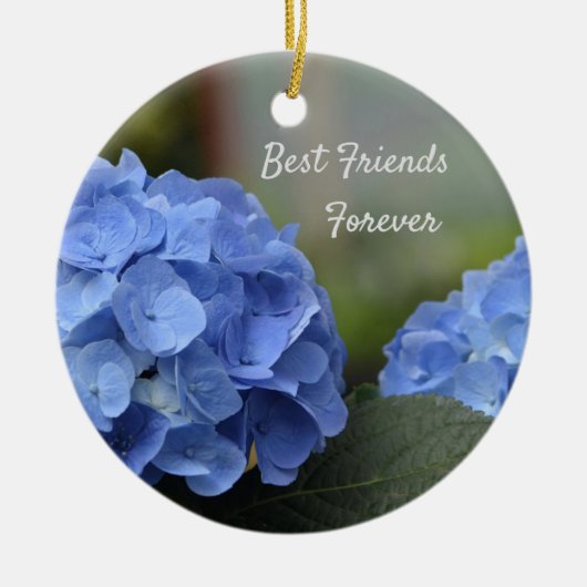 Best Friends Forever Hydrangeas Keramisch Ornament (Voorkant)