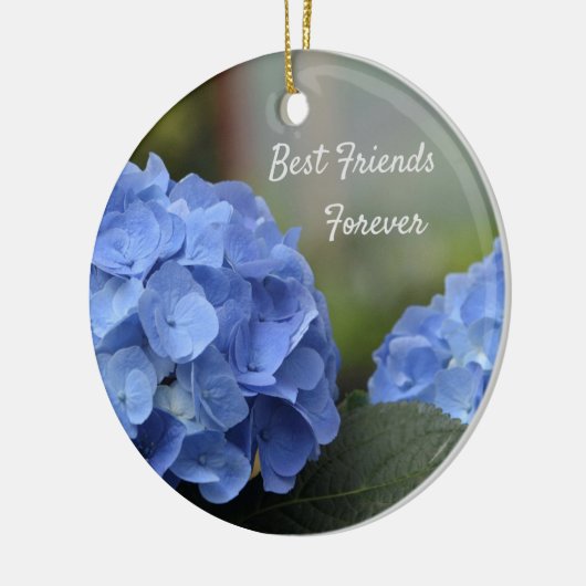 Best Friends Forever Hydrangeas Keramisch Ornament (Links)