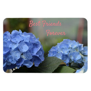 Best Friends Forever Hydrangeas Magneet