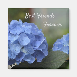 Best Friends Forever Hydrangeas Magneet