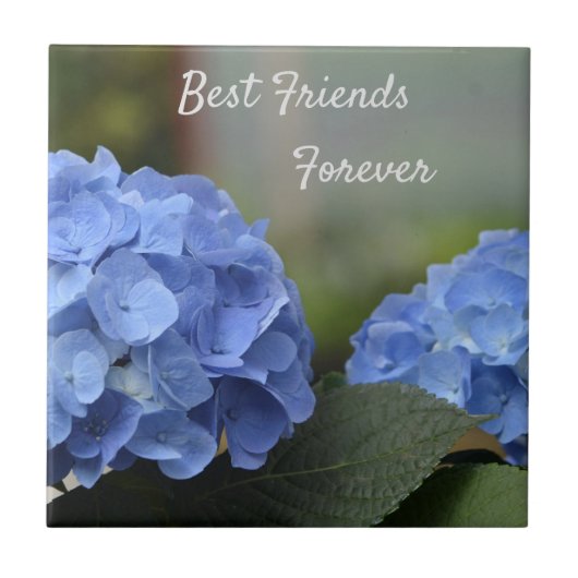 Best Friends Forever Hydrangeas Tegeltje (Voorkant)