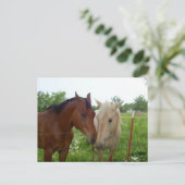 Best Friends Forever - Paarden Briefkaart (Staand voorkant)