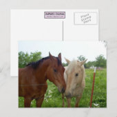 Best Friends Forever - Paarden Briefkaart (Voorkant / Achterkant)