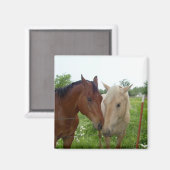 Best Friends Forever - Paarden Magneet (Voorkant / Achterkant)