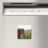 Best Friends Forever - Paarden Magneet (Insitu (Vaatwasser))