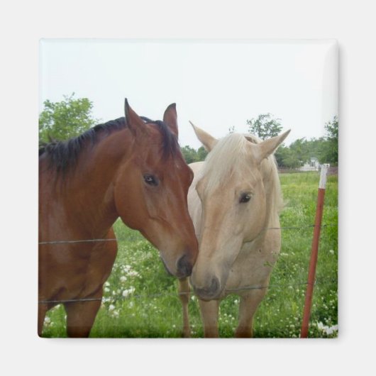 Best Friends Forever - Paarden Magneet (Voorkant)
