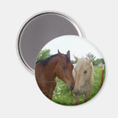 Best Friends Forever - Paarden Magneet (Voorkant / Achterkant)