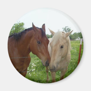 Best Friends Forever - Paarden Magneet