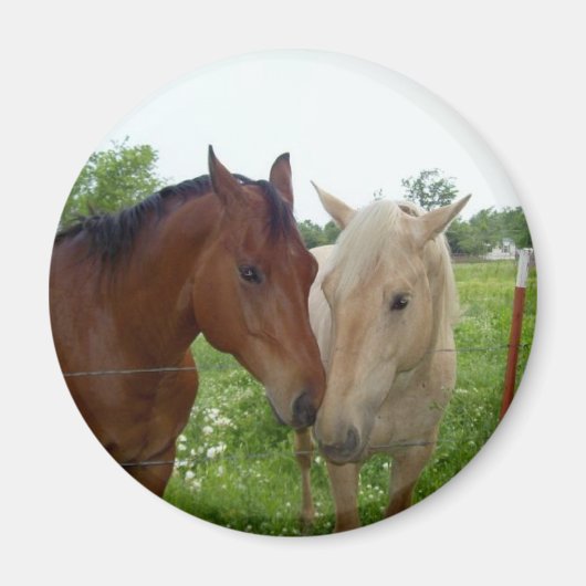 Best Friends Forever - Paarden Magneet (Voorkant)