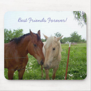 Best Friends Forever - Paarden Muismat