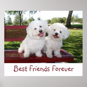 Best Friends Forever Poster Print