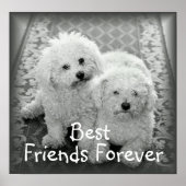 Best Friends Forever Poster Print (Voorkant)