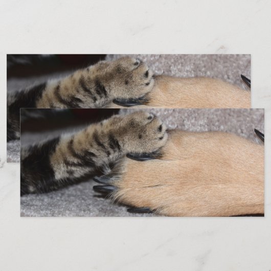 Best Friends Forever, Shirley Taylor (Voorkant / Achterkant)