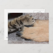 Best Friends Forever, Shirley Taylor Briefkaart (Voorkant / Achterkant)