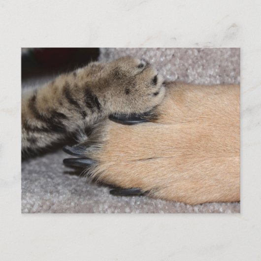 Best Friends Forever, Shirley Taylor Briefkaart (Voorkant)