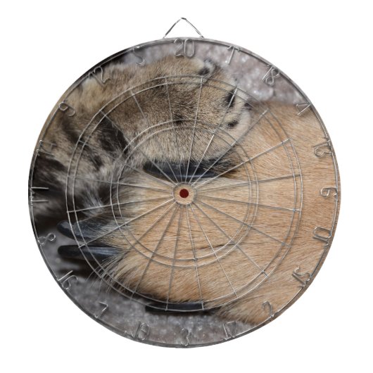 Best Friends Forever, Shirley Taylor Dartbord (Voorkant)