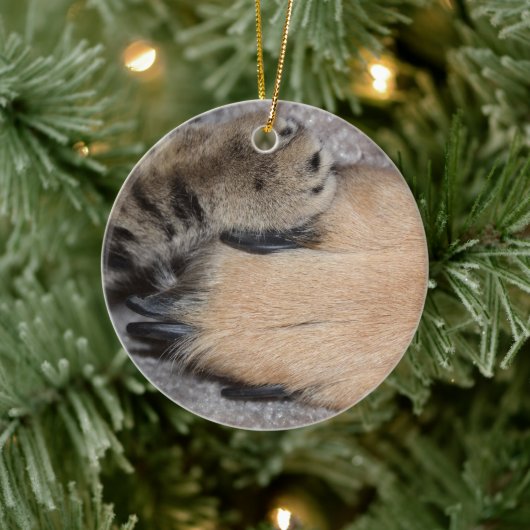 Best Friends Forever, Shirley Taylor Keramisch Ornament (Boom)