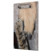 Best Friends Forever, Shirley Taylor Klembord (Links)