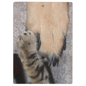 Best Friends Forever, Shirley Taylor Klembord (Achterkant)