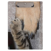 Best Friends Forever, Shirley Taylor Klembord (Voorkant)