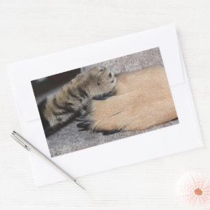 Best Friends Forever, Shirley Taylor Rechthoekige Sticker