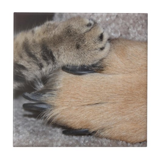 Best Friends Forever, Shirley Taylor Tegeltje (Voorkant)