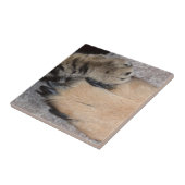 Best Friends Forever, Shirley Taylor Tegeltje (Zijkant)