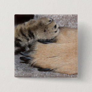 Best Friends Forever, Shirley Taylor Vierkante Button 5,1 Cm