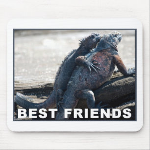 Best Friends Muismat