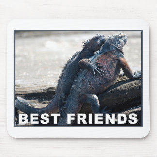 Best Friends Muismat